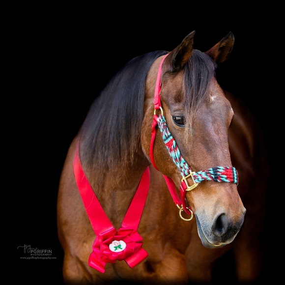 Meet your Posher, Marianna - Picture 7 of 7